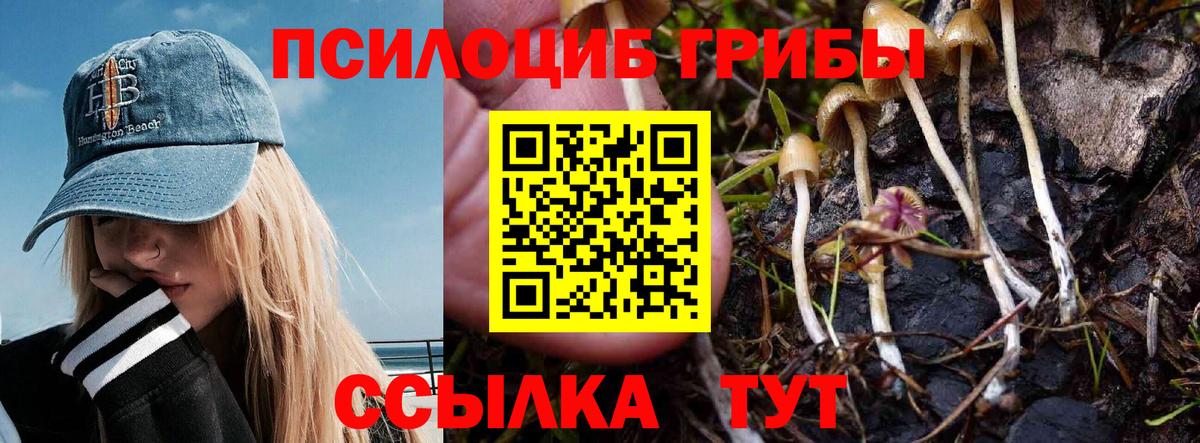 Кокаин  Cocaine  Вход с VPN  Вязьма  Меф кристаллы  Бошки Шишки  A-PVP СК   ГАШИШ  Гашиш  МЕТАМФЕТАМИН 