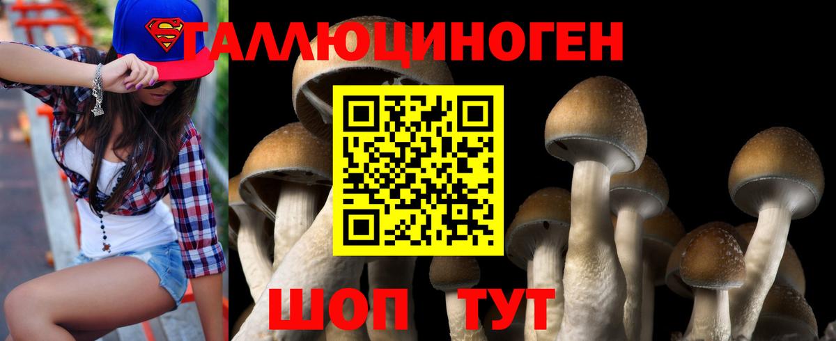 Псилоцибиновые грибы Psilocybe Вязьма