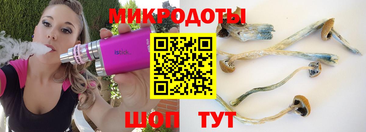 Галлюциногенные грибы MAGIC MUSHROOMS  Галлюциногенные грибы Cubensis  Вязьма  Вход с VPN 